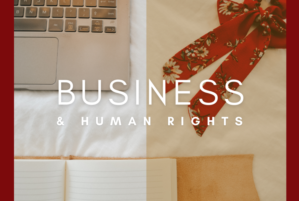 business and human rights