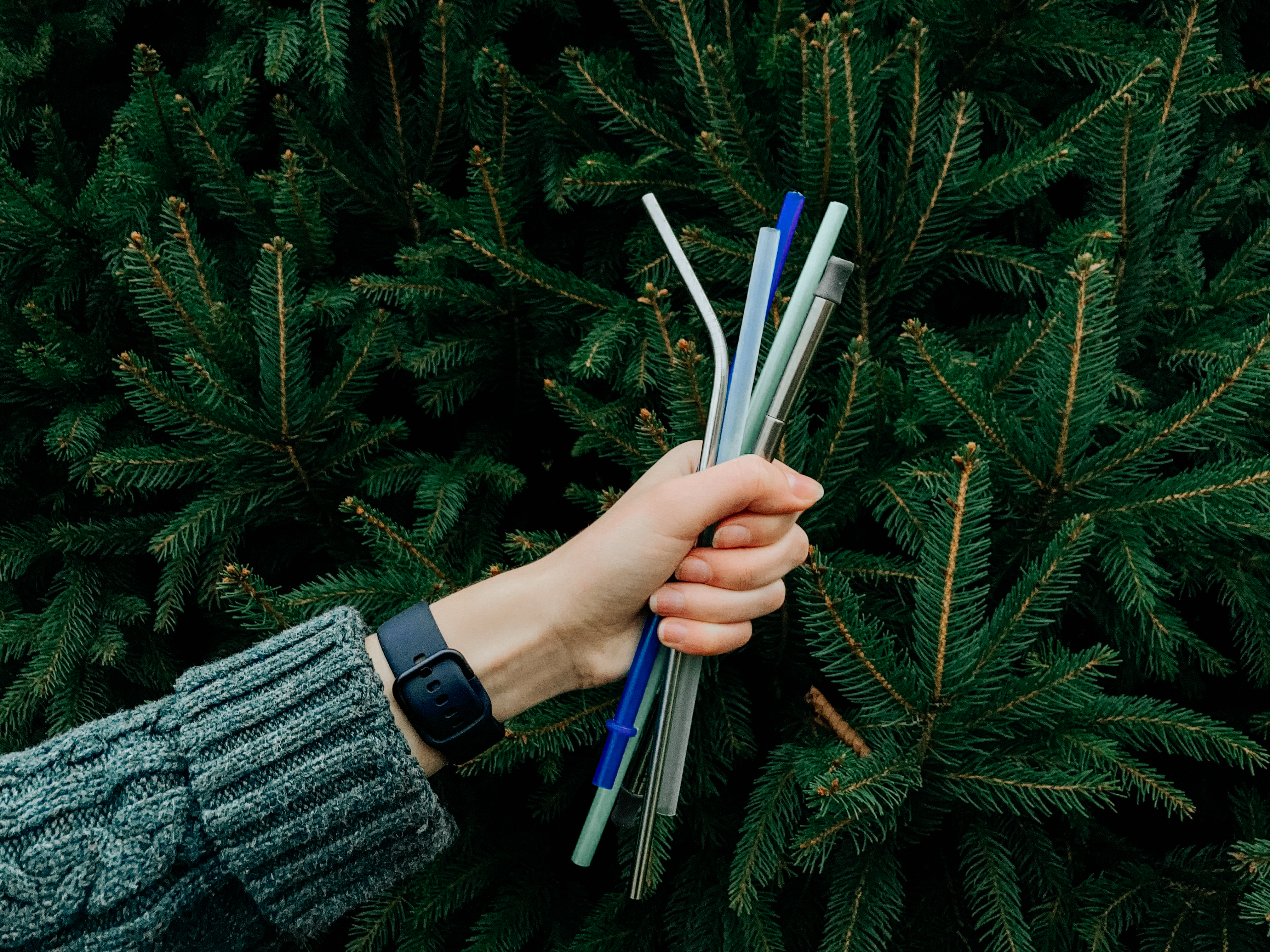 what plastic straws do to the environment