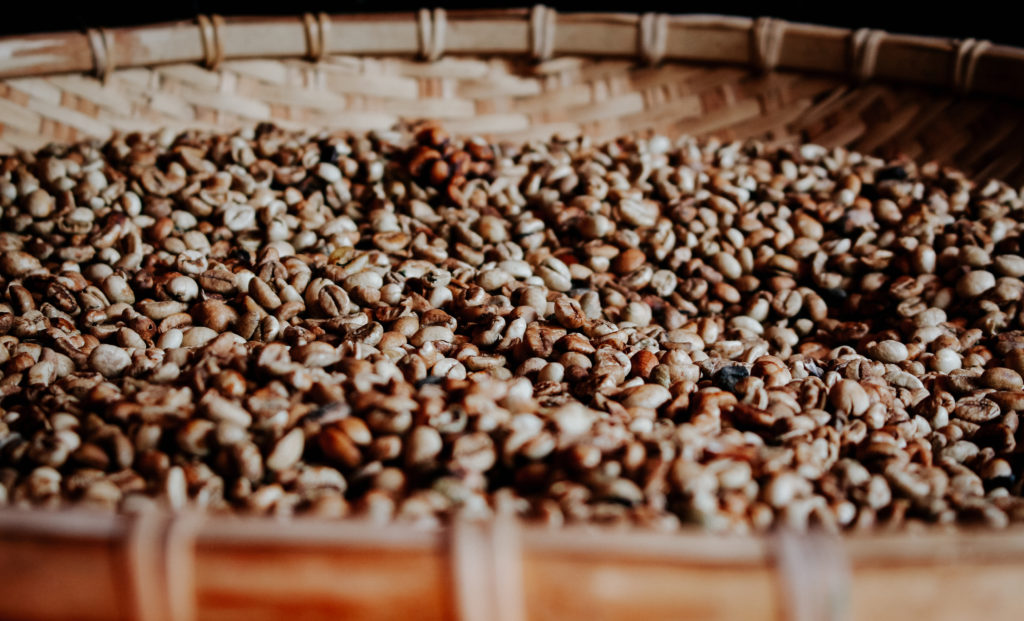 The Environmental Impact Of Coffee From Bean To Cup